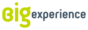 Logotipo Big Experience